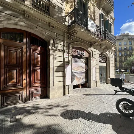 U-nique Pau Claris Ii *